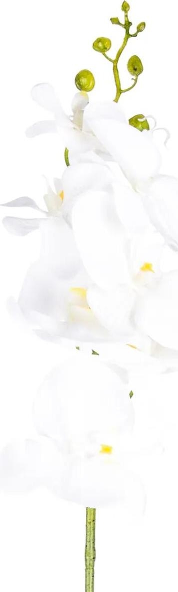 Umělá Orchidej čistě bílá
